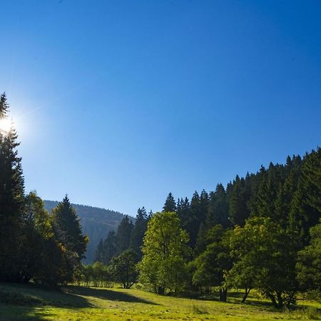 The Conscious Farmer Bed And Breakfast Sauerland Willingen  Esterno foto