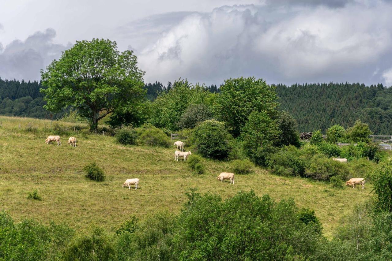 The Conscious Farmer Bed And Breakfast Sauerland Willingen  Esterno foto