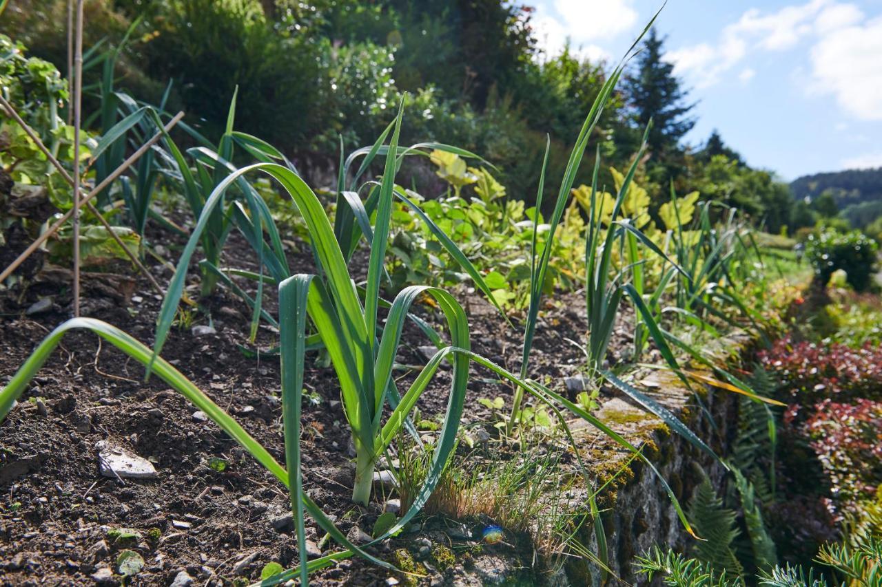 The Conscious Farmer Bed And Breakfast Sauerland Willingen  Esterno foto