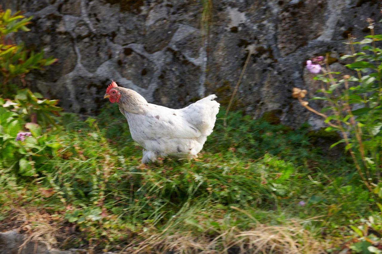 The Conscious Farmer Bed And Breakfast Sauerland Willingen  Esterno foto
