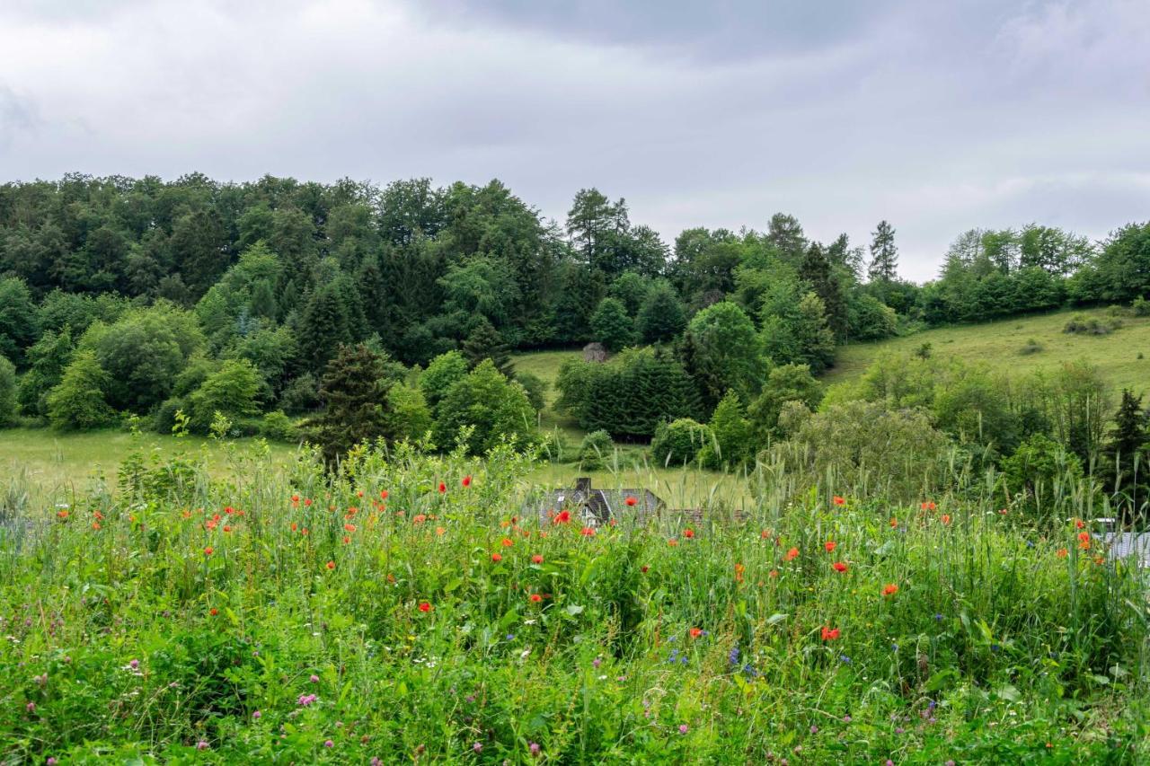 The Conscious Farmer Bed And Breakfast Sauerland Willingen  Esterno foto