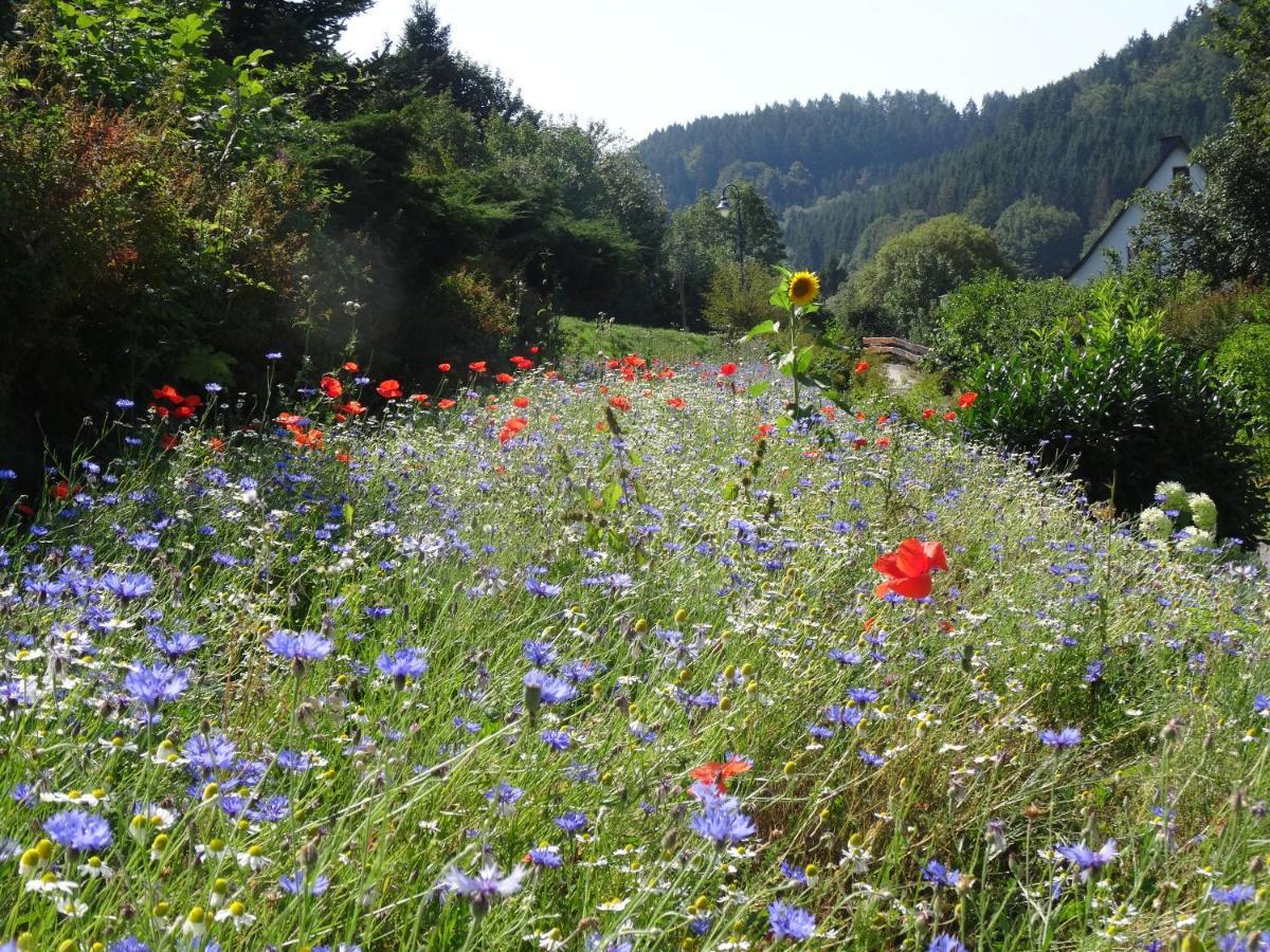 The Conscious Farmer Bed And Breakfast Sauerland Willingen  Esterno foto