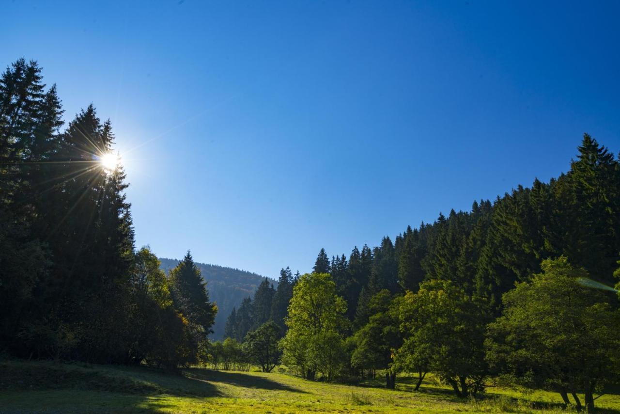 The Conscious Farmer Bed And Breakfast Sauerland Willingen  Esterno foto